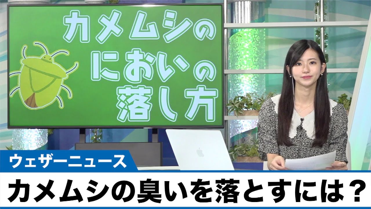 カメムシ対策 臭いを落とすにはお湯 石鹸 アルコール 切り抜きdb