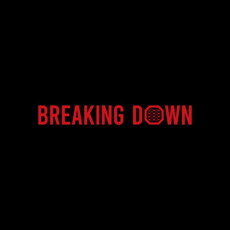 動画一覧 - 【公式】BreakingDown / ブレイキングダウン